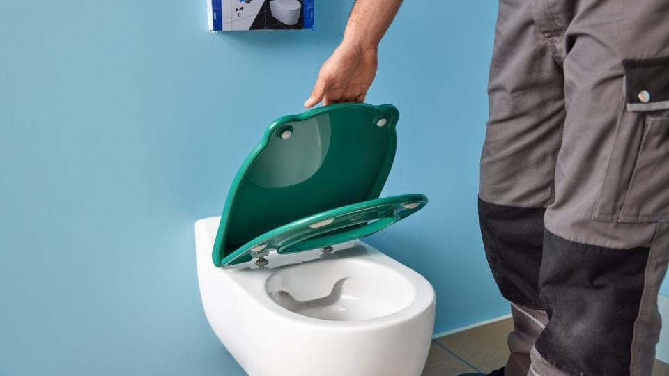 Geberit Toilet day