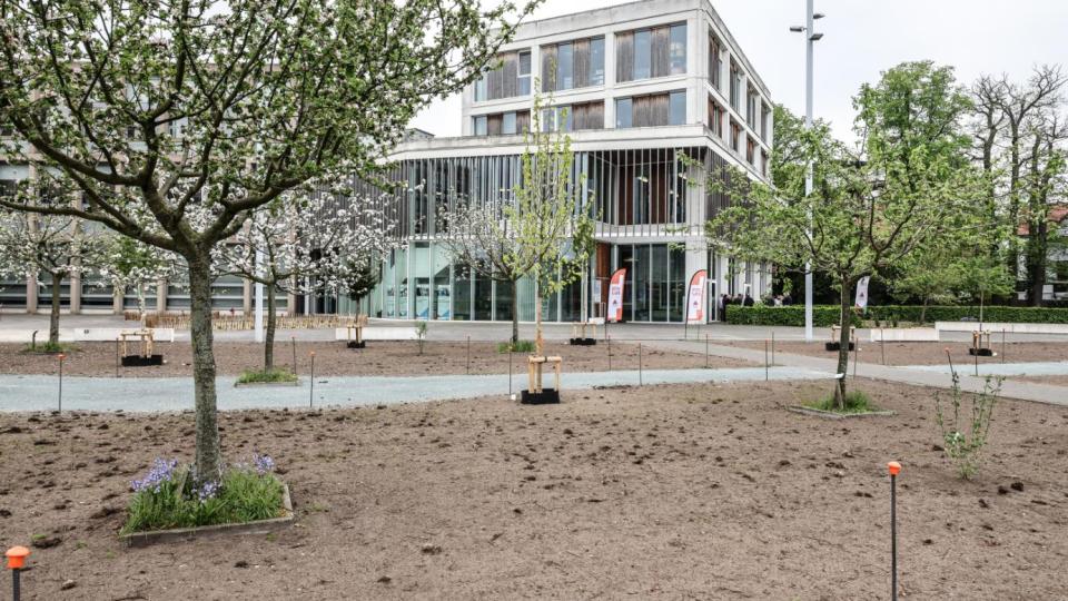 PIVA Cool Neighbourhoods speelplaats