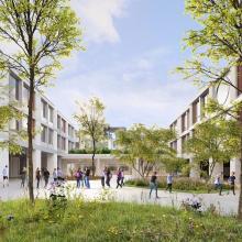 De Droomboom in Laken 